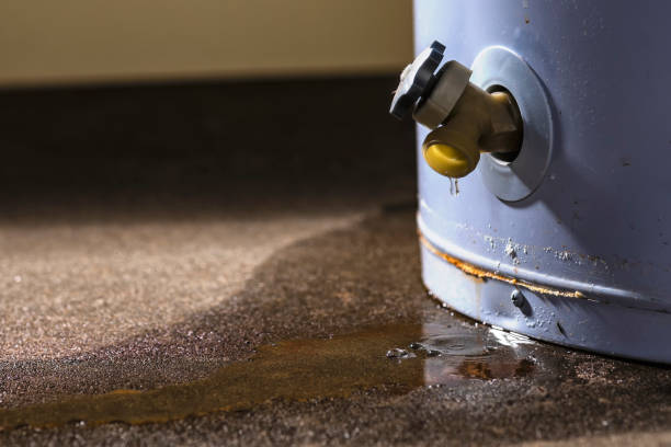 Best Flood damage cleanup  in Merchantville, NJ