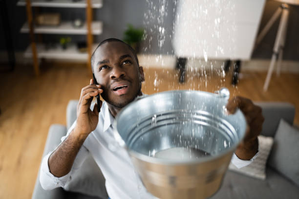 Best Local water damage restoration  in Merchantville, NJ
