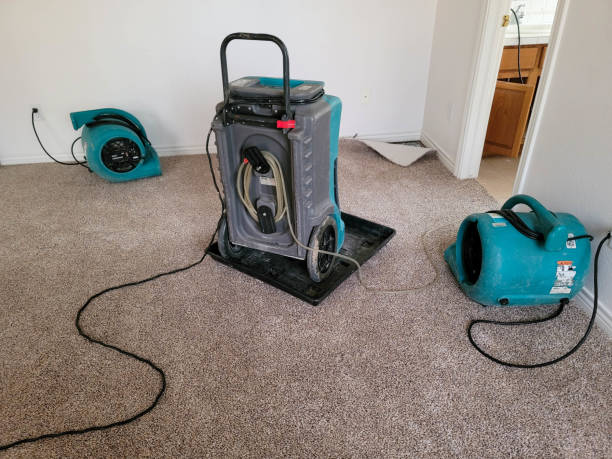 Best Flood damage cleanup  in Merchantville, NJ
