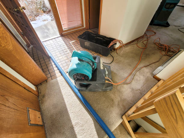 Best Residential water damage restoration  in Merchantville, NJ