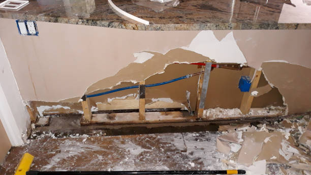 Best Mold removal after water damage  in Merchantville, NJ