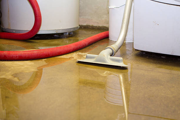 Best Commercial water damage restoration  in Merchantville, NJ