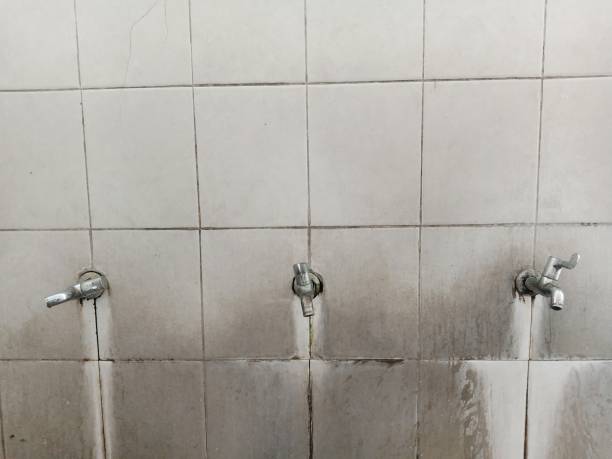 Best Flood restoration services  in Merchantville, NJ