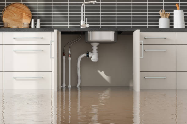 Best Water damage cleanup near me  in Merchantville, NJ