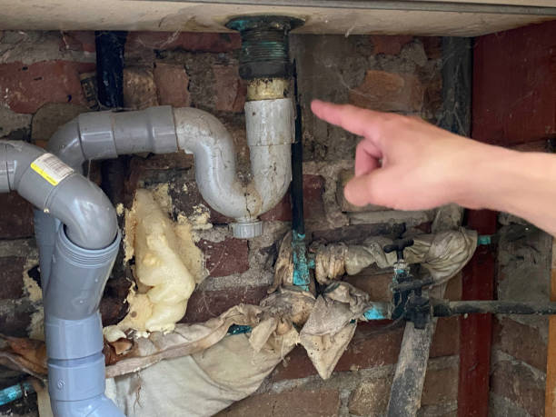 Best Professional water damage repair  in Merchantville, NJ