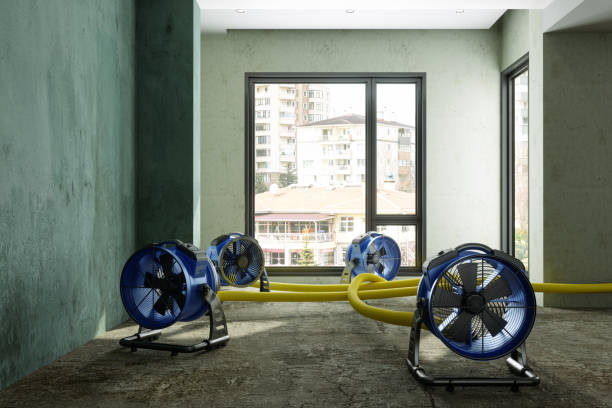 Best Fire Damage Restoration  in Merchantville, NJ