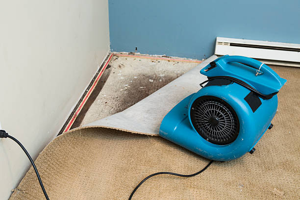 Best Water damage cleanup near me  in Merchantville, NJ